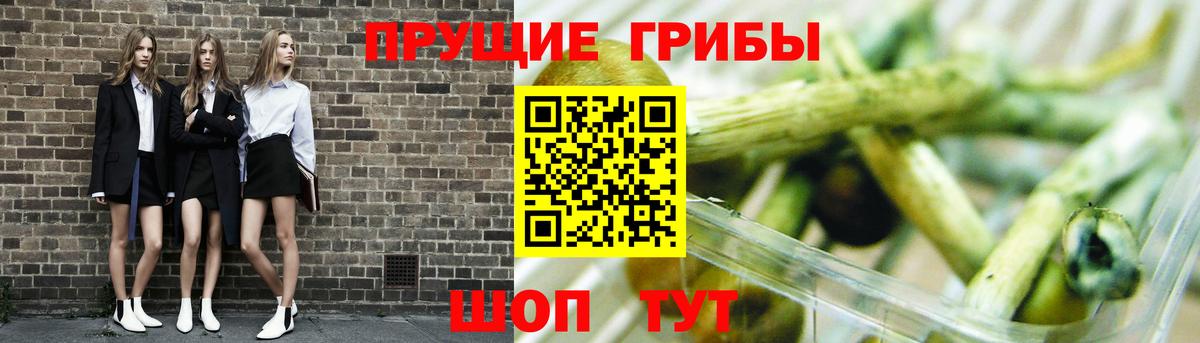 Псилоцибиновые грибы мухоморы  Вход с VPN  Камышин 